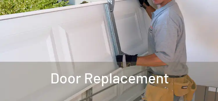  Door Replacement 