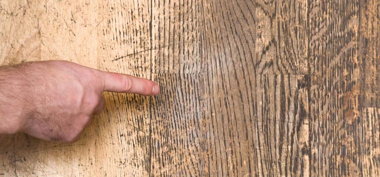 Wood Door Scratch Repair in Folsom